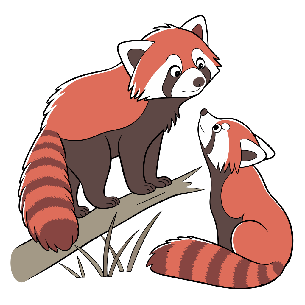 One Red Panda accompanying another